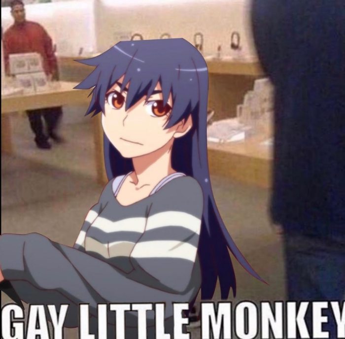 Apple store gay little monkey