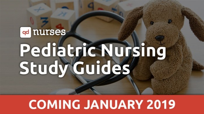 Rn pediatric nursing online practice 2023 b