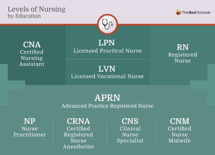 Rn pediatric nursing online practice 2023 b