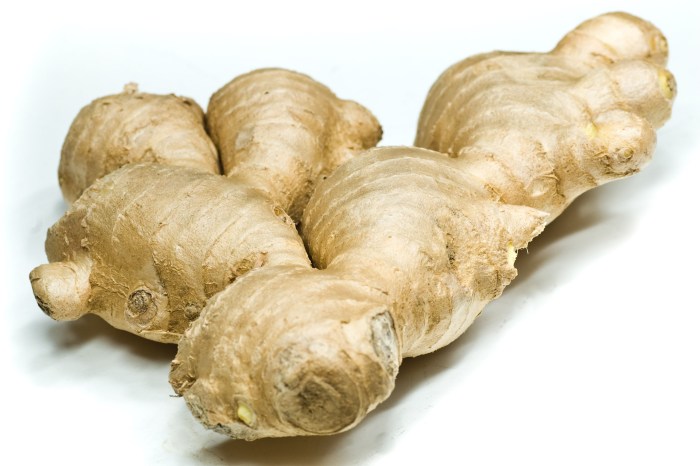 Ginger spice source month jahe root bu fresh sargent plant hot may turmeric que