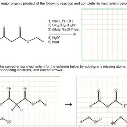 Predict the major organic product of the reaction sequence